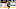Boston Bruins Boston Bruins