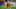 DFS CFB DFS CFB