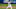 Anthony Gruppuso-USA TODAY Sports Anthony Gruppuso-USA TODAY Sports
