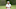 MALELANE, SOUTH AFRICA – NOVEMBER 26: Charl Schwartzel of South Africa in action during a pro-am event ahead of the Alfred Dunhill Championship at Leopard Creek Country Golf Club on November 26, 2019 in Malelane, South Africa. (Photo by Jan Kruger/Getty Images) MALELANE, SOUTH AFRICA – NOVEMBER 26: Charl Schwartzel of South Africa in action during a pro-am event ahead of the Alfred Dunhill Championship at Leopard Creek Country Golf Club on November 26, 2019 in Malelane, South Africa. (Photo by Jan Kruger/Getty Images)