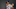 Whit Merrifield #15 of the Kansas City Royals (Photo by Jamie Squire/Getty Images) Whit Merrifield #15 of the Kansas City Royals (Photo by Jamie Squire/Getty Images)