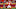 KC Chiefs KC Chiefs