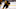 FanDuel NHL FanDuel NHL