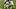 college football college football