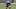 Kentucky football Kentucky football