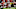 K.J. Hill 2020 NFL Draft K.J. Hill 2020 NFL Draft