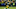 Green Bay Packers Green Bay Packers
