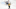 Boston Bruins Boston Bruins