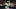 Philadelphia Eagles, C.J. Gardner-Johnson Philadelphia Eagles, C.J. Gardner-Johnson