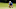 Fantasy Golf: Sanderson Farms