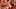 Jameis Winston, Tampa Bay Buccaneers Jameis Winston, Tampa Bay Buccaneers