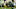 Michael Gallup Dallas Cowboys Michael Gallup Dallas Cowboys