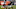Chicago Bears, Anthony Miller Chicago Bears, Anthony Miller
