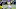 College Football Playoff College Football Playoff