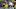 Notre Dame football Notre Dame football