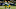 Green Bay Packers
