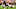Aug 27, 2022; Cleveland, Ohio, USA; Cleveland Browns wide receiver Donovan Peoples-Jones (11) makes a diving catch in front of Chicago Bears punter Trenton Gill (16) during the first half at FirstEnergy Stadium. Mandatory Credit: Ken Blaze-USA TODAY Sports Aug 27, 2022; Cleveland, Ohio, USA; Cleveland Browns wide receiver Donovan Peoples-Jones (11) makes a diving catch in front of Chicago Bears punter Trenton Gill (16) during the first half at FirstEnergy Stadium. Mandatory Credit: Ken Blaze-USA TODAY Sports