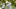 DraftKings PGA DraftKings PGA