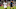 Football ā Fifa World Cup Russia 2018 / ārSaudi Arabia Team _ Preview Set ā ārNawaf Al Abed (Ksa) ā Yuto Nagatomo (Jpn) Football ā Fifa World Cup Russia 2018 / ārSaudi Arabia Team _ Preview Set ā ārNawaf Al Abed (Ksa) ā Yuto Nagatomo (Jpn)
