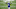 Buffalo Bills Buffalo Bills