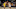 Indiana Pacers Indiana Pacers