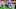 texas rangers texas rangers