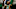 Boston Celtics Boston Celtics
