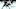 (Photo by Yong Teck Lim/Getty Images) – Los Angeles Kings