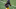 Tyler Goodson, 2022 NFL Draft Tyler Goodson, 2022 NFL Draft