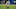 Green Bay Packers Green Bay Packers