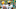 Green Bay Packers Green Bay Packers