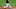 DraftKings DraftKings