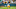 Green Bay Packers Green Bay Packers