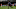 Arsenal, Alex Iwobi Arsenal, Alex Iwobi