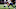 New England Patriots New England Patriots