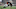 cam newton