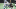 NFL DFS NFL DFS