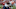 49ers offseason 49ers offseason