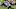 Green Bay Packers Green Bay Packers