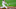 DraftKings DraftKings