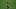 2020 Brasileirao Series A: Botafogo v Palmeiras Play Behind Closed Doors Amidst the Coronavirus 2020 Brasileirao Series A: Botafogo v Palmeiras Play Behind Closed Doors Amidst the Coronavirus