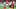 2020 Brasileirao Series A: Internacional v Flamengo Play Behind Closed Doors Amidst the Coronavirus 2020 Brasileirao Series A: Internacional v Flamengo Play Behind Closed Doors Amidst the Coronavirus