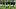 2020 Brasileirao Series A: Corinthians v Botafogo Play Behind Closed Doors Amidst the Coronavirus 2020 Brasileirao Series A: Corinthians v Botafogo Play Behind Closed Doors Amidst the Coronavirus