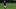 2020 Brasileirao Series A: Corinthians v Botafogo Play Behind Closed Doors Amidst the Coronavirus 2020 Brasileirao Series A: Corinthians v Botafogo Play Behind Closed Doors Amidst the Coronavirus