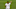 2020 Brasileirao Series A: Corinthians v Palmeiras Play Behind Closed Doors Amidst the Coronavirus