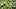 2020 Brasileirao Series A: Corinthians v Santos Play Behind Closed Doors Amidst the Coronavirus 2020 Brasileirao Series A: Corinthians v Santos Play Behind Closed Doors Amidst the Coronavirus