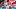 2020 Brasileirao Series A: Internacional v Red Bull Bragantino Play Behind Closed Doors Amidst the