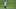Reinaldo São Paulo Palmeiras Zebra Clássico Campeonato Brasileiro