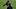 2020 Brasileirao Series A: Red Bull Bragantino v Corinthians Play Behind Closed Doors Amidst the