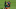 2020 Brasileirao Series A: Sao Paulo v Fluminense Play Behind Closed Doors Amidst the Coronavirus